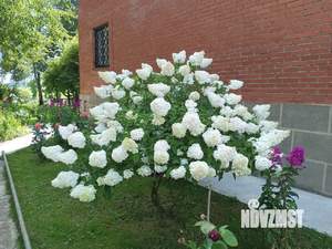 Дом 1000м², 3-этажный, посуточно,