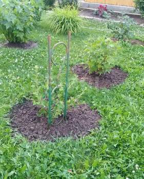 Дом 60м², 2-этажный, участок 4 сот.