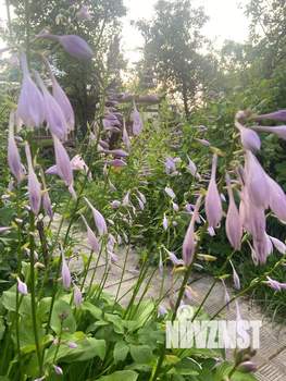 Дом 46м², 2-этажный, участок 6 сот.