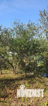 Дом 40м², 2-этажный, участок 6 сот.