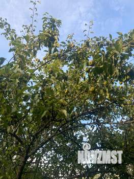 Дом 46м², 2-этажный, участок 6 сот.