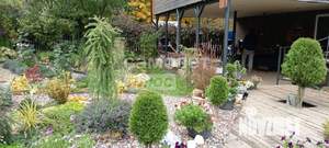 Дом 135м², 2-этажный, участок 9 сот.