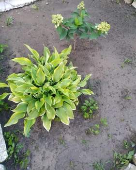 Дом 60м², 2-этажный, участок 4 сот.