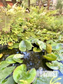 Дом 80м², 2-этажный, участок 9 сот.