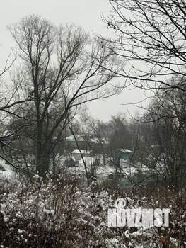 Дом 31м², 1-этажный, участок 6 сот.