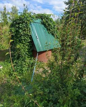 Дом 44м², 1-этажный, участок 15 сот.