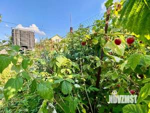 Дом 55м², 2-этажный, участок 5 сот.