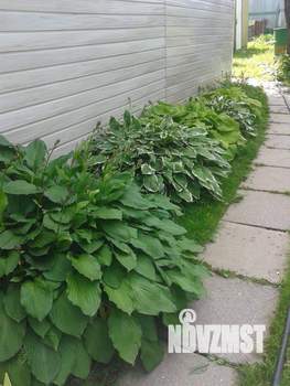 Дом 31м², 1-этажный, участок 6 сот.