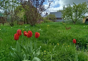 Дом 40м², 2-этажный, участок 6 сот.