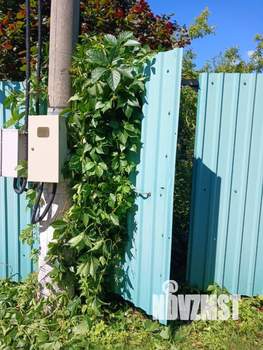 Дом 42м², 2-этажный, участок 6 сот.