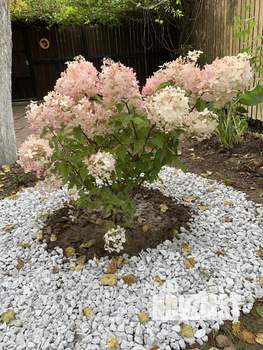 Дом 46м², 2-этажный, участок 5 сот.