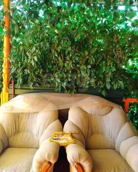 Дом 60м², 2-этажный, участок 4 сот.