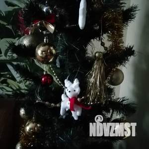 Дом 210м², 2-этажный, посуточно, 