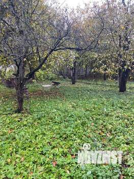 Дом 55м², 1-этажный, участок 5 сот.  