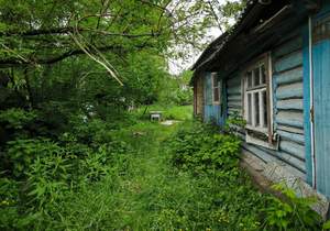 Дом 53м², 1-этажный, участок 10 сот.  