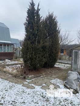 Дом 50м², 2-этажный, участок 4 сот.  