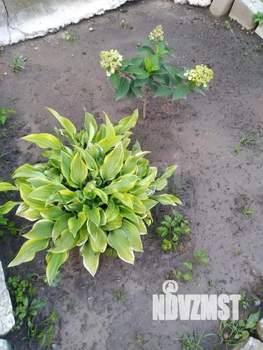 Дом 60м², 2-этажный, участок 4 сот.  