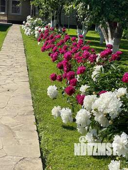 Коттедж 120м², 2-этажный, участок 33 сот.  