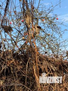 Дом 40м², 2-этажный, участок 6 сот.  