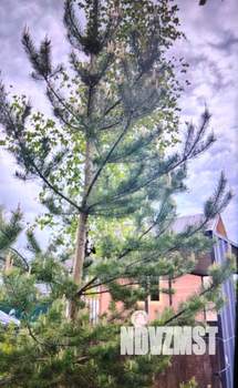 Дом 36м², 2-этажный, участок 6 сот.  