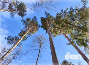 Дом 230м², 1-этажный, участок 8 сот.  