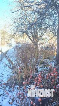 Дом 35м², 1-этажный, участок 8 сот.  