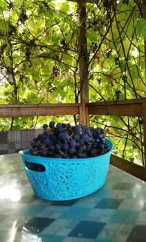 Дом 48м², 2-этажный, участок 8 сот.  