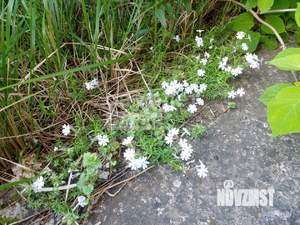 Дом 302м², 2-этажный, участок 10 сот.  