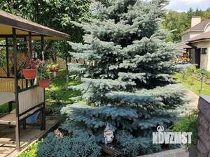 Дом 320м², 3-этажный, участок 12 сот.  