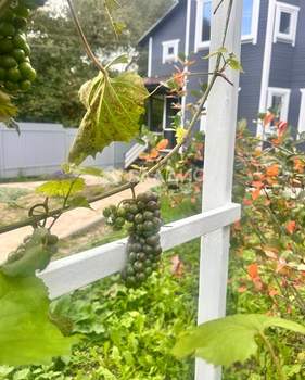 Дом 89м², 2-этажный, участок 4 сот.  