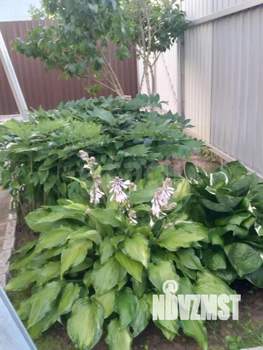 Дом 60м², 2-этажный, участок 4 сот.  