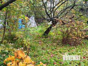 Дом 54м&sup2;, 2-этажный, участок 9 сот.  