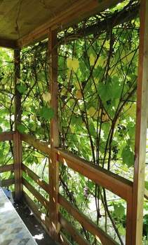 Дом 48м², 2-этажный, участок 8 сот.  