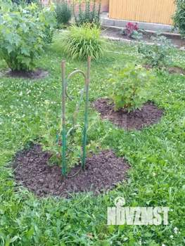 Дом 60м², 2-этажный, участок 4 сот.  