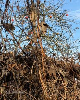 Дом 40м², 2-этажный, участок 6 сот.  