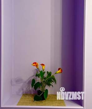 Студия квартира, посуточно, 22м2, 1/5 этаж