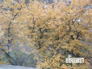 1-к квартира, на длительный срок, 38м2, 3/15 этаж