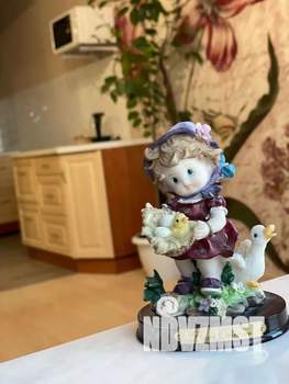 Студия квартира, посуточно, 26м2, 7/18 этаж