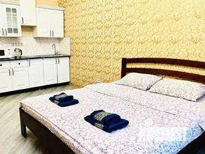 1-к квартира, посуточно, 25м2, 1/18 этаж