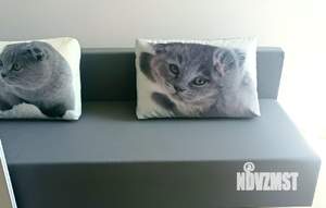 Студия квартира, на длительный срок, 29м2, 2/8 этаж