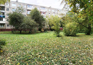 1-к квартира, вторичка, 30м2, 2/5 этаж