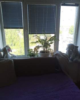 1-к квартира, вторичка, 30м2, 5/9 этаж