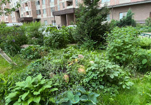 1-к квартира, вторичка, 39м2, 8/19 этаж