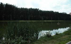 2-к квартира, вторичка, 44м2, 3/5 этаж