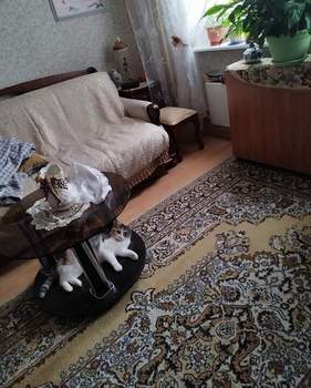 1-к квартира, вторичка, 38м2, 3/17 этаж