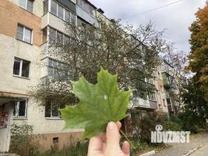 2-к квартира, вторичка, 43м2, 3/5 этаж