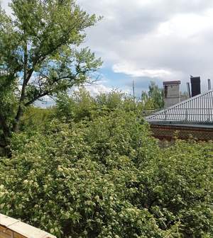 1-к квартира, вторичка, 30м2, 4/5 этаж