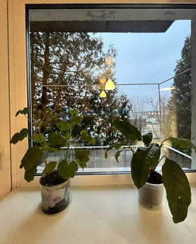 2-к квартира, вторичка, 45м2, 3/5 этаж